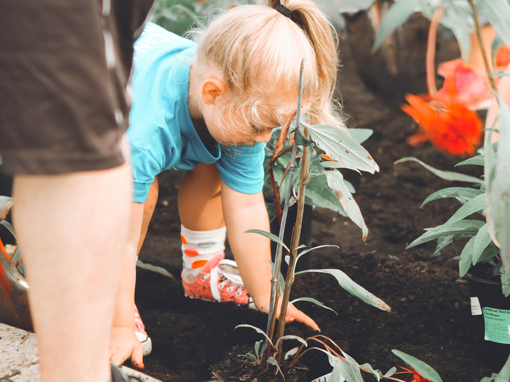 Ballykin - Early Learning Centres