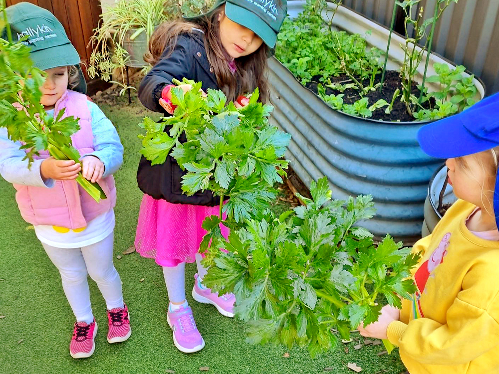 Ballykin - Early Learning Centres